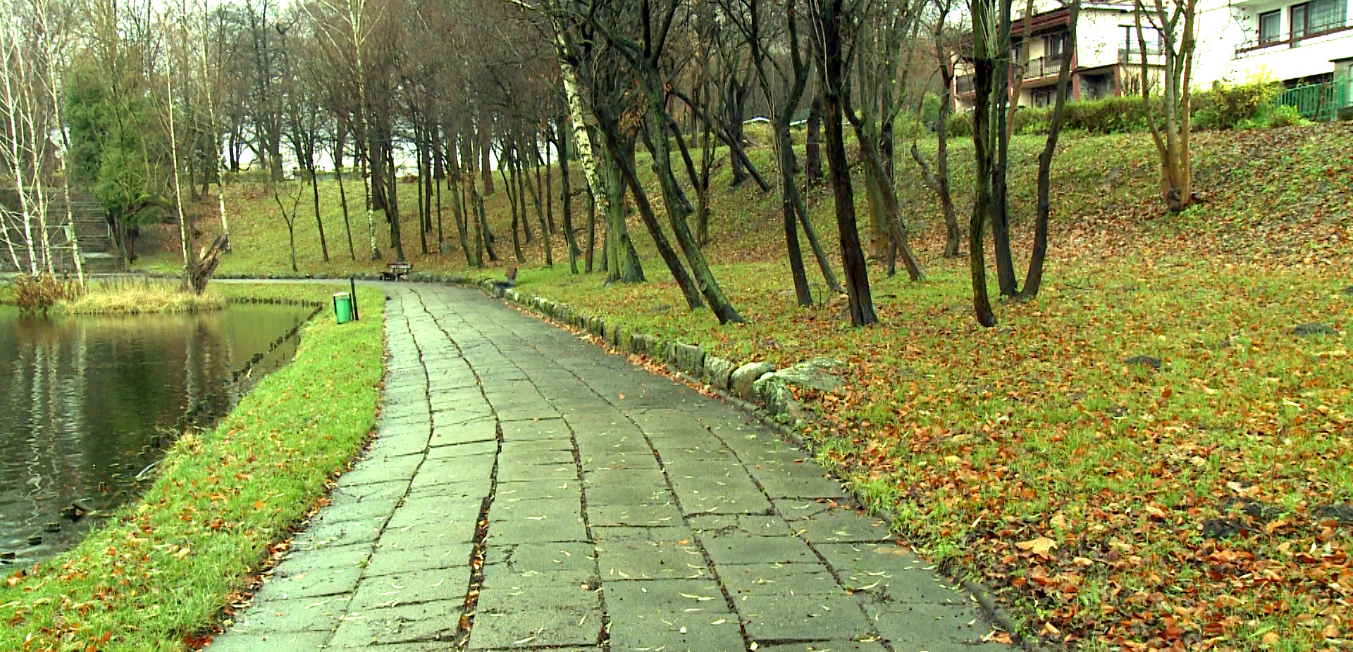 Zielona rewolucja