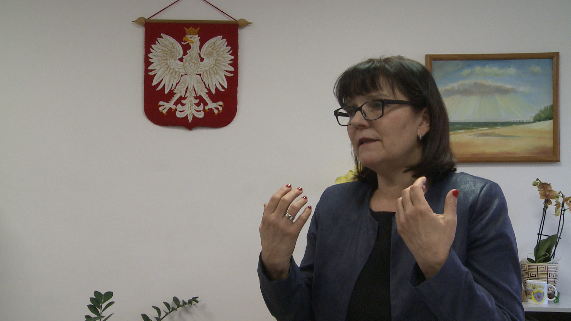 Decyzja do wyjaśnienia i oświadczenie