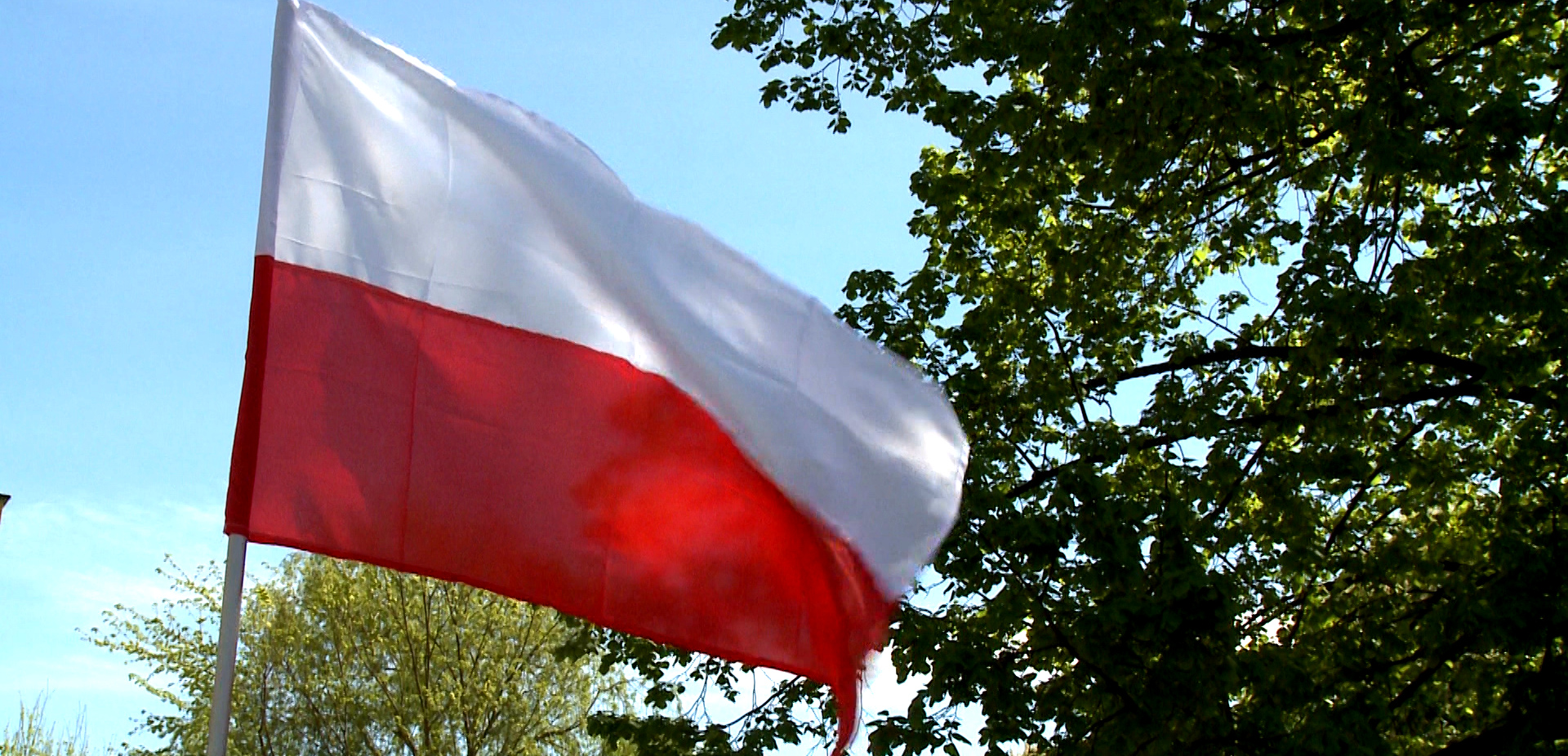 Sto dni z flagą