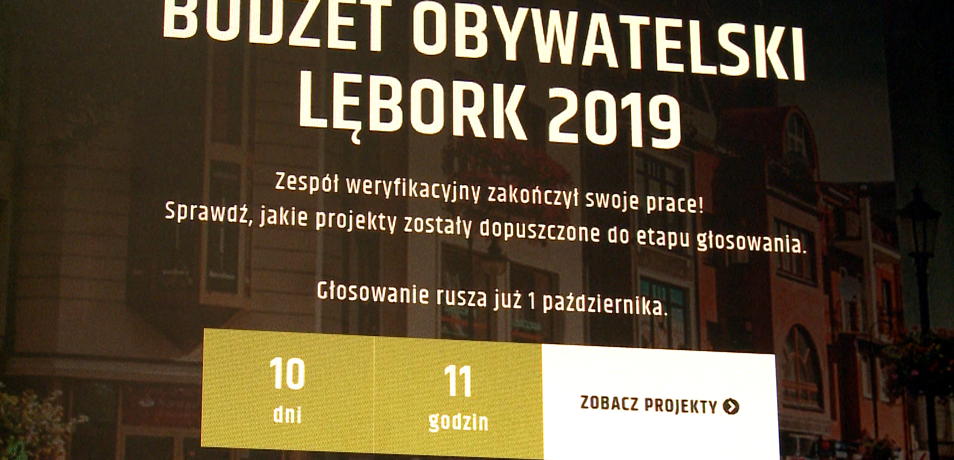 Harmonogram głosowania