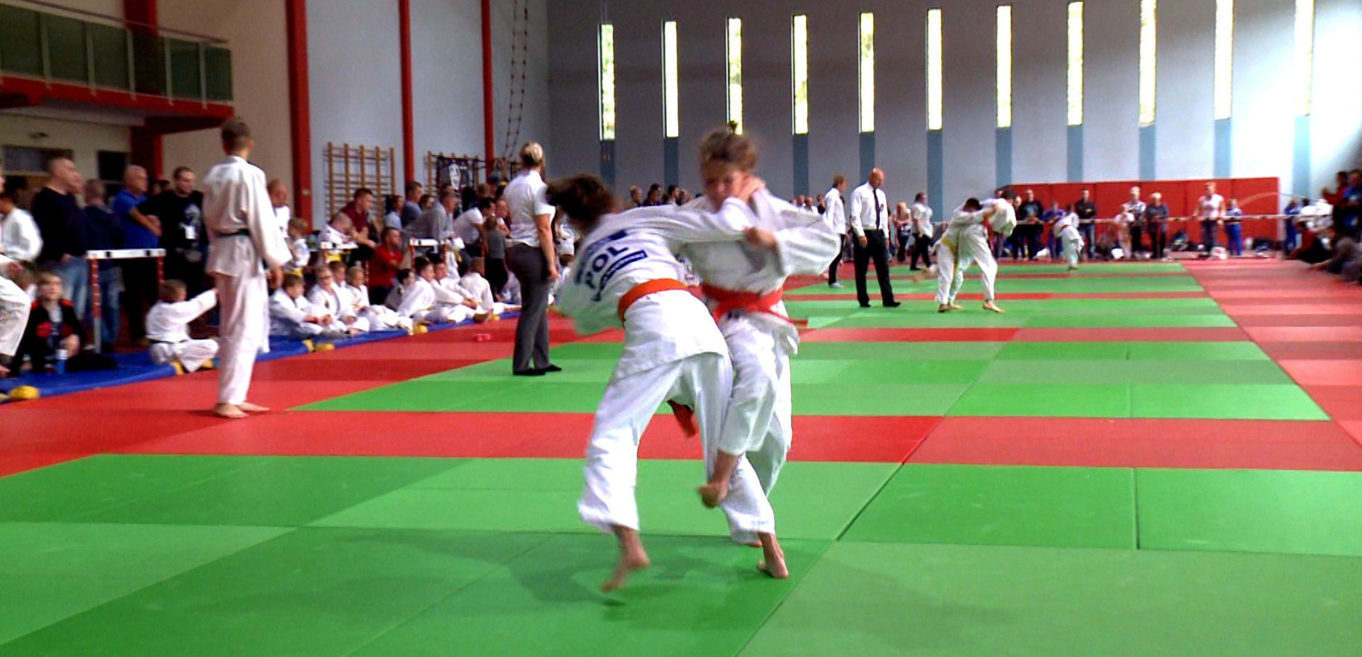 Wojownicy na tatami
