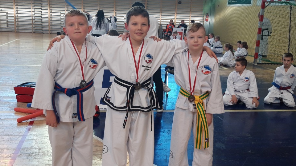 Dwumiejskie taekwon-do z medalami